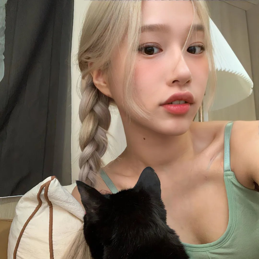 马达加斯加的企鹅第一季