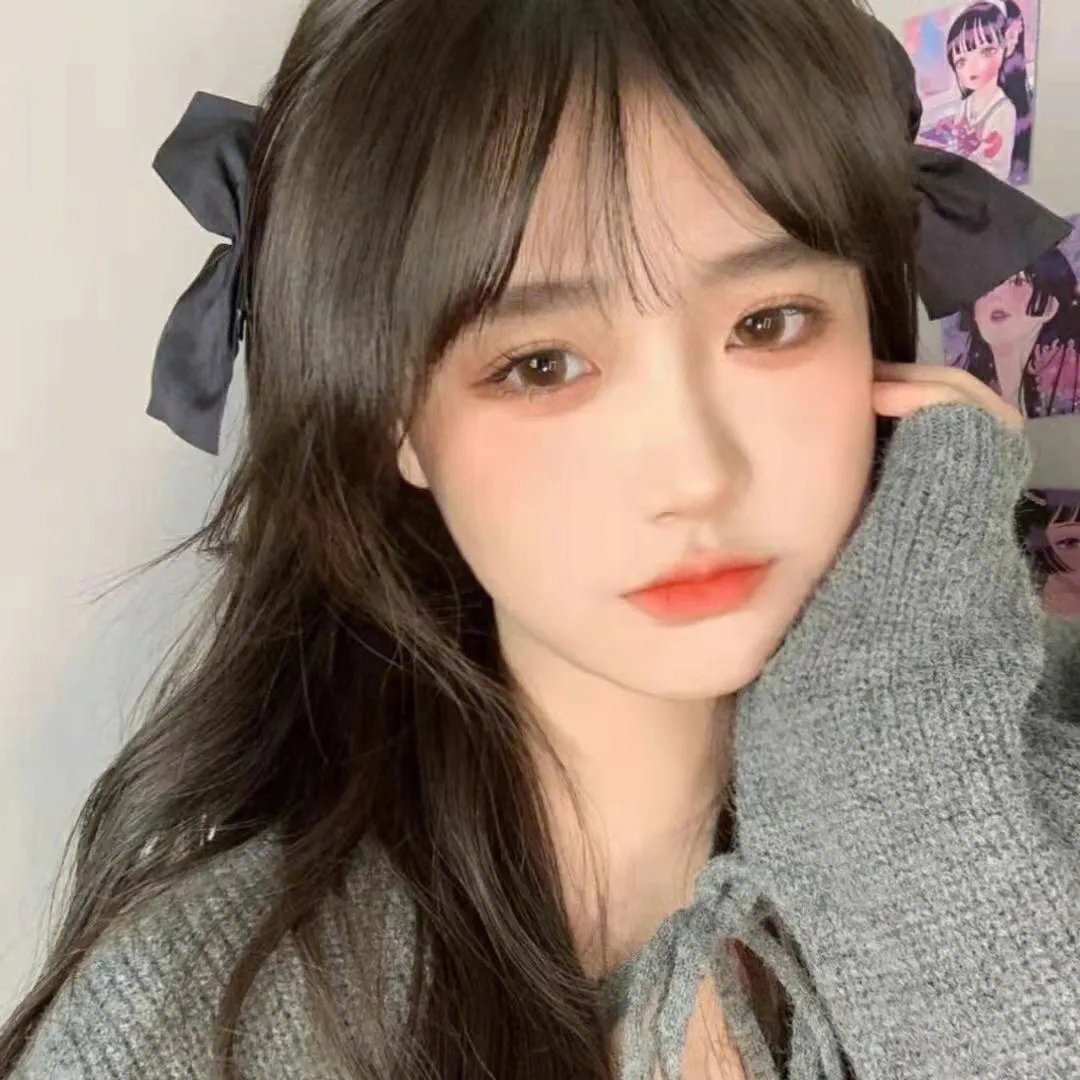 芝加哥警署第五季